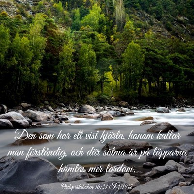 Picture 03 - Ordspråksboken 16:21 SV1917 - Den som har ett vist hjärta, honom kallar man - Bible Verse Picture