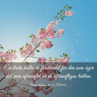 Picture 03 - Ordspråksboken 16:22 SV1917 - En livets källa är förståndet för den som - Bible Verse Picture