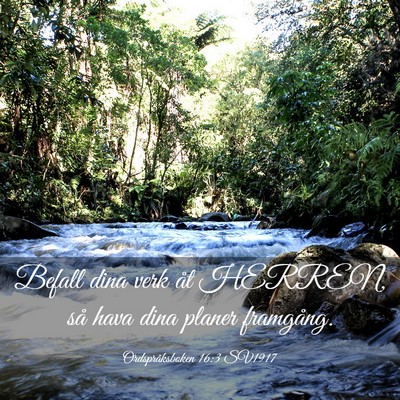 Picture 03 - Ordspråksboken 16:3 SV1917 - Befall dina verk åt HERREN, så hava dina planer - Bible Verse Picture