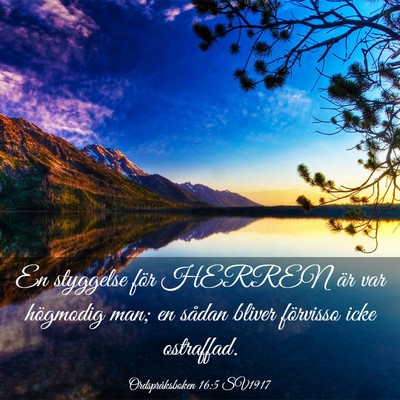 Picture 03 - Ordspråksboken 16:5 SV1917 - En styggelse för HERREN är var högmodig man; - Bible Verse Picture