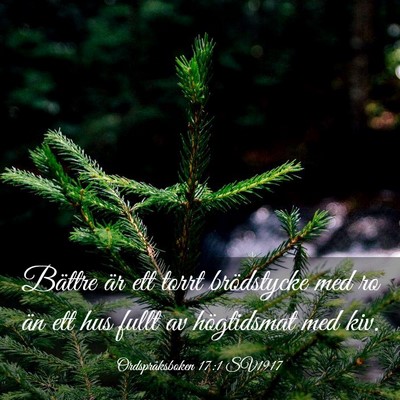 Picture 03 - Ordspråksboken 17:1 SV1917 - Bättre är ett torrt brödstycke med ro än ett - Bible Verse Picture