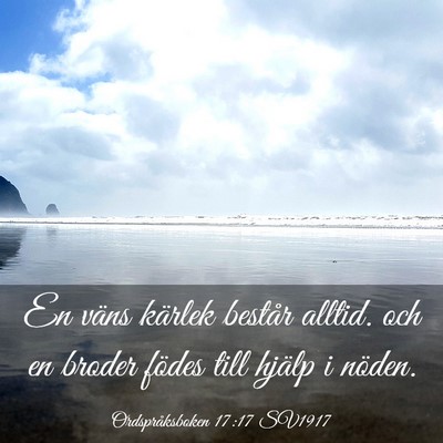Picture 03 - Ordspråksboken 17:17 SV1917 - En väns kärlek består alltid. och en broder - Bible Verse Picture