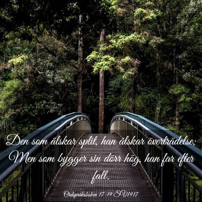 Picture 03 - Ordspråksboken 17:19 SV1917 - Den som älskar split, han älskar - Bible Verse Picture