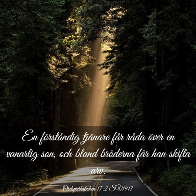 Picture 03 - Ordspråksboken 17:2 SV1917 - En förståndig tjänare får råda över en - Bible Verse Picture