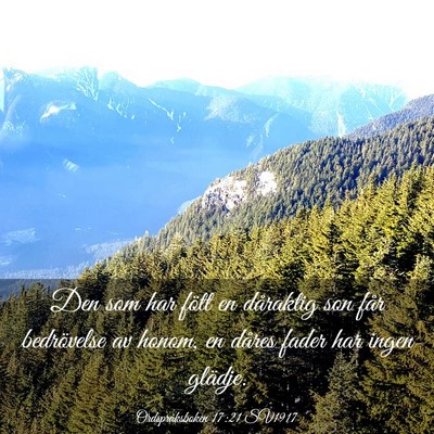 Picture 03 - Ordspråksboken 17:21 SV1917 - Den som har fött en dåraktig son får - Bible Verse Picture