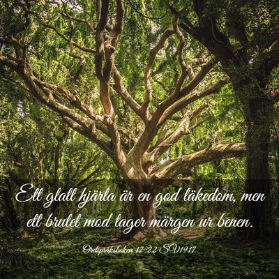Picture 03 - Ordspråksboken 17:22 SV1917 - Ett glatt hjärta är en god läkedom, men ett - Bible Verse Picture