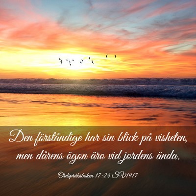 Picture 03 - Ordspråksboken 17:24 SV1917 - Den förståndige har sin blick på visheten, men - Bible Verse Picture