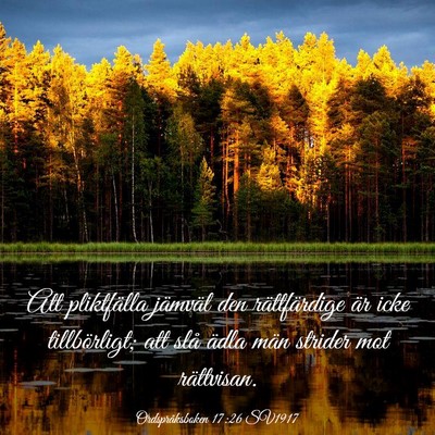 Picture 03 - Ordspråksboken 17:26 SV1917 - Att pliktfälla jämväl den rättfärdige är - Bible Verse Picture