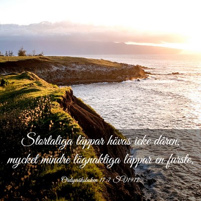 Picture 03 - Ordspråksboken 17:7 SV1917 - Stortaliga läppar hövas icke dåren, mycket - Bible Verse Picture