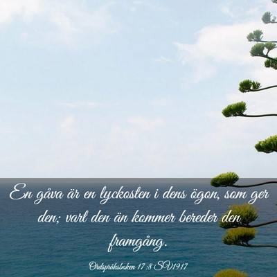 Picture 03 - Ordspråksboken 17:8 SV1917 - En gåva är en lyckosten i dens ögon, som ger - Bible Verse Picture