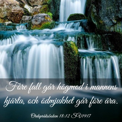 Picture 03 - Ordspråksboken 18:12 SV1917 - Före fall går högmod i mannens hjärta, och - Bible Verse Picture