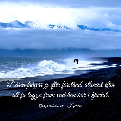 Picture 03 - Ordspråksboken 18:2 SV1917 - Dåren frågar ej efter förstånd, allenast - Bible Verse Picture