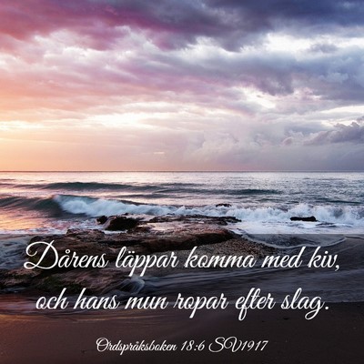Picture 03 - Ordspråksboken 18:6 SV1917 - Dårens läppar komma med kiv, och hans mun ropar - Bible Verse Picture