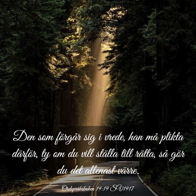 Picture 03 - Ordspråksboken 19:19 SV1917 - Den som förgår sig i vrede, han må plikta - Bible Verse Picture