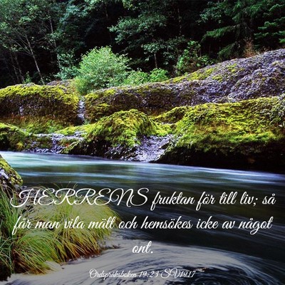 Picture 03 - Ordspråksboken 19:23 SV1917 - HERRENS fruktan för till liv; så får man vila - Bible Verse Picture