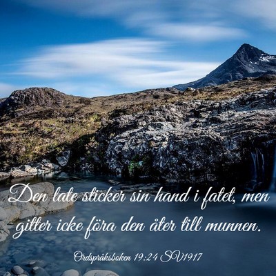 Picture 03 - Ordspråksboken 19:24 SV1917 - Den late sticker sin hand i fatet, men gitter - Bible Verse Picture