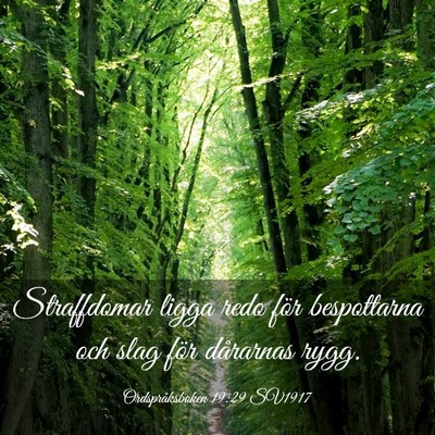 Picture 03 - Ordspråksboken 19:29 SV1917 - Straffdomar ligga redo för bespottarna och slag - Bible Verse Picture