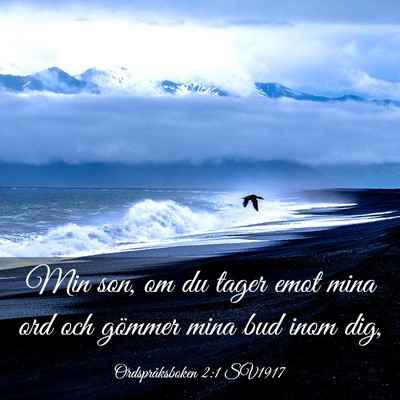 Picture 03 - Ordspråksboken 2:1 SV1917 - Min son, om du tager emot mina ord och gömmer - Bible Verse Picture