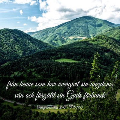 Picture 03 - Ordspråksboken 2:17 SV1917 - från henne som har övergivit sin ungdoms vän - Bible Verse Picture