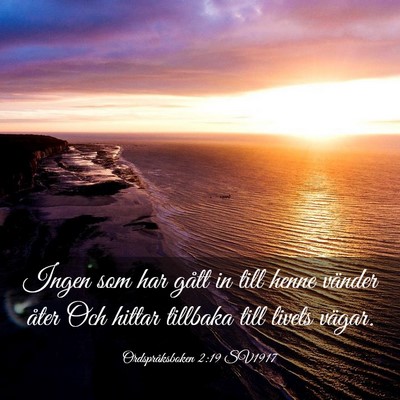 Picture 03 - Ordspråksboken 2:19 SV1917 - Ingen som har gått in till henne vänder åter - Bible Verse Picture