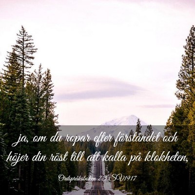 Picture 03 - Ordspråksboken 2:3 SV1917 - ja, om du ropar efter förståndet och höjer din - Bible Verse Picture