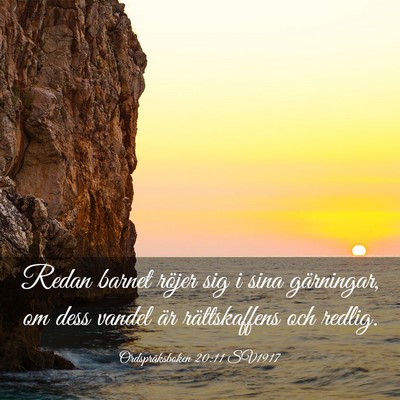 Picture 03 - Ordspråksboken 20:11 SV1917 - Redan barnet röjer sig i sina gärningar, om - Bible Verse Picture