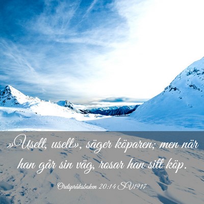 Picture 03 - Ordspråksboken 20:14 SV1917 - »Uselt, uselt», säger köparen; men när han - Bible Verse Picture