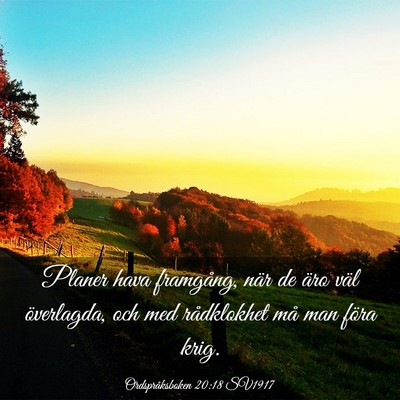 Picture 03 - Ordspråksboken 20:18 SV1917 - Planer hava framgång, när de äro väl - Bible Verse Picture