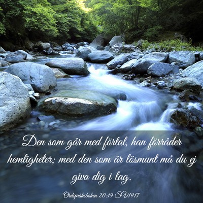 Picture 03 - Ordspråksboken 20:19 SV1917 - Den som går med förtal, han förråder - Bible Verse Picture