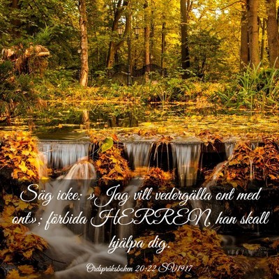 Picture 03 - Ordspråksboken 20:22 SV1917 - Säg icke: »Jag vill vedergälla ont med ont»; - Bible Verse Picture