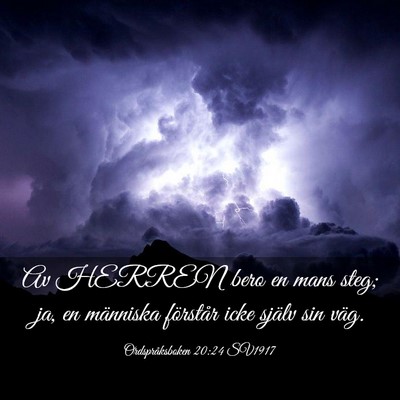 Picture 03 - Ordspråksboken 20:24 SV1917 - Av HERREN bero en mans steg; ja, en människa - Bible Verse Picture