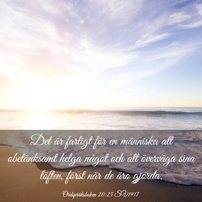 Picture 03 - Ordspråksboken 20:25 SV1917 - Det är farligt för en människa att - Bible Verse Picture