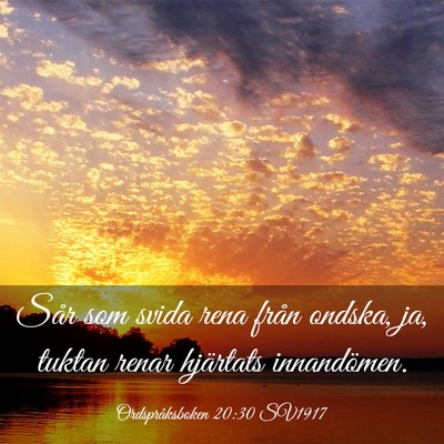 Picture 03 - Ordspråksboken 20:30 SV1917 - Sår som svida rena från ondska, ja, tuktan - Bible Verse Picture