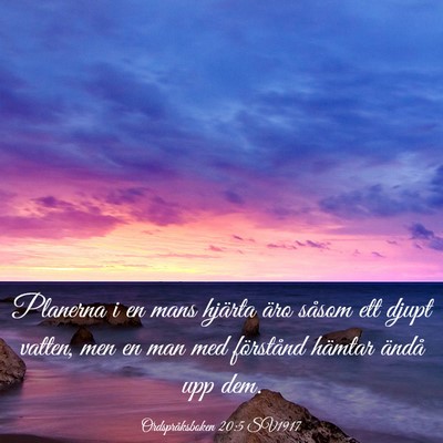 Picture 03 - Ordspråksboken 20:5 SV1917 - Planerna i en mans hjärta äro såsom ett djupt - Bible Verse Picture