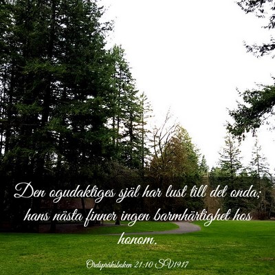 Picture 03 - Ordspråksboken 21:10 SV1917 - Den ogudaktiges själ har lust till det onda; - Bible Verse Picture