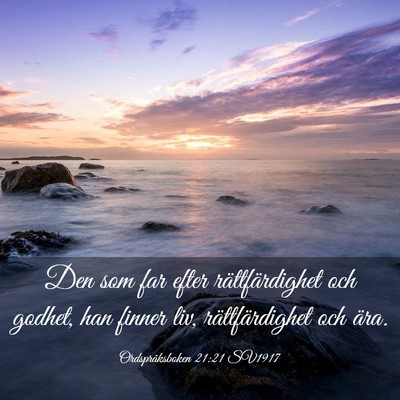 Picture 03 - Ordspråksboken 21:21 SV1917 - Den som far efter rättfärdighet och godhet, han - Bible Verse Picture