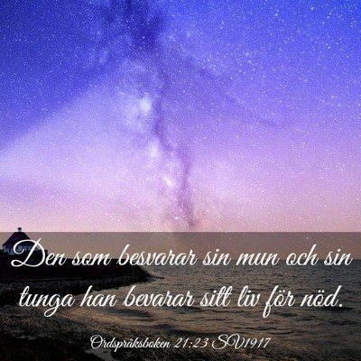 Picture 03 - Ordspråksboken 21:23 SV1917 - Den som besvarar sin mun och sin tunga han - Bible Verse Picture