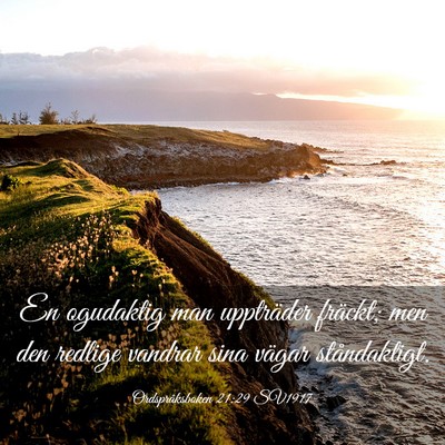 Picture 03 - Ordspråksboken 21:29 SV1917 - En ogudaktig man uppträder fräckt; men den - Bible Verse Picture