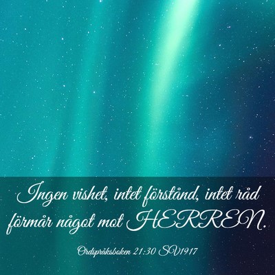 Picture 03 - Ordspråksboken 21:30 SV1917 - Ingen vishet, intet förstånd, intet råd - Bible Verse Picture