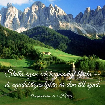 Picture 03 - Ordspråksboken 21:4 SV1917 - Stolta ögon och högmodigt hjärta -- de - Bible Verse Picture