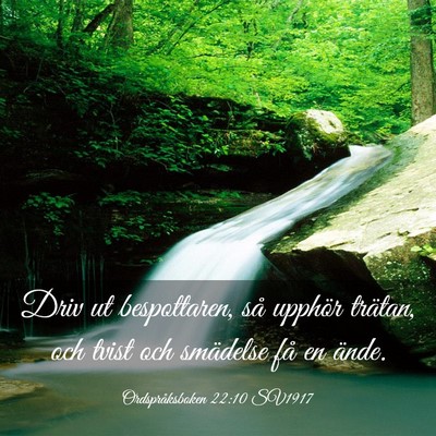 Picture 03 - Ordspråksboken 22:10 SV1917 - Driv ut bespottaren, så upphör trätan, och - Bible Verse Picture