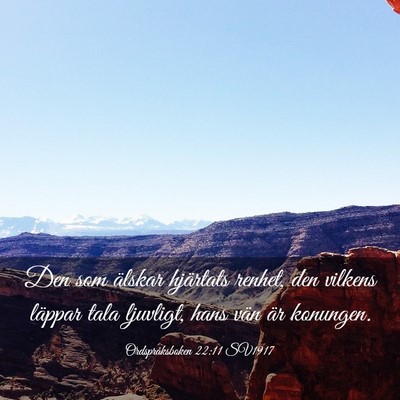 Picture 03 - Ordspråksboken 22:11 SV1917 - Den som älskar hjärtats renhet, den vilkens - Bible Verse Picture