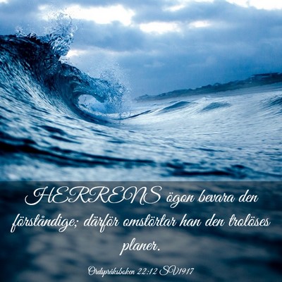 Picture 03 - Ordspråksboken 22:12 SV1917 - HERRENS ögon bevara den förståndige; därför - Bible Verse Picture