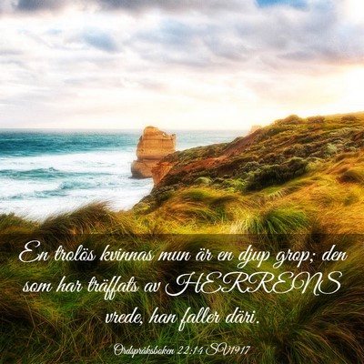 Picture 03 - Ordspråksboken 22:14 SV1917 - En trolös kvinnas mun är en djup grop; den som - Bible Verse Picture