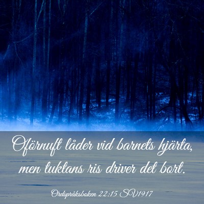 Picture 03 - Ordspråksboken 22:15 SV1917 - Oförnuft låder vid barnets hjärta, men tuktans - Bible Verse Picture