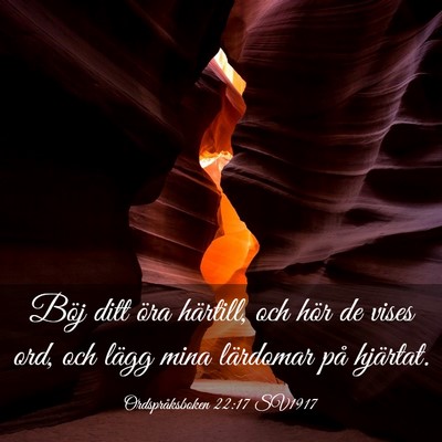 Picture 03 - Ordspråksboken 22:17 SV1917 - Böj ditt öra härtill, och hör de vises ord, - Bible Verse Picture