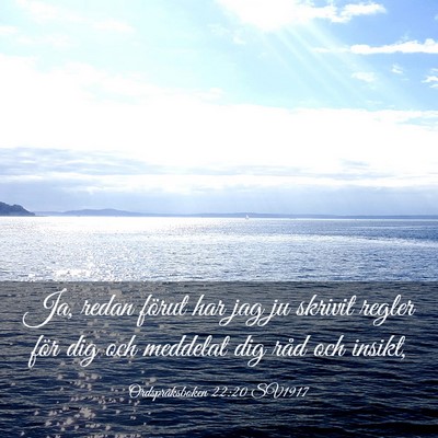 Picture 03 - Ordspråksboken 22:20 SV1917 - Ja, redan förut har jag ju skrivit regler för - Bible Verse Picture