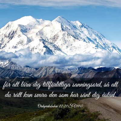 Picture 03 - Ordspråksboken 22:21 SV1917 - för att lära dig tillförlitliga sanningsord, - Bible Verse Picture
