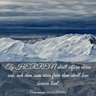 Picture 03 - Ordspråksboken 22:23 SV1917 - Ty HERREN skall utföra deras sak, och dem som - Bible Verse Picture