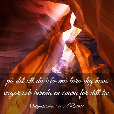 Picture 03 - Ordspråksboken 22:25 SV1917 - på det att du icke må lära dig hans vägar och - Bible Verse Picture